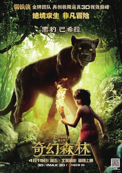 勒芒大学物理学文凭证书